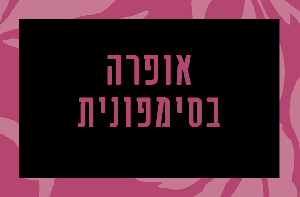 לילה באופרה